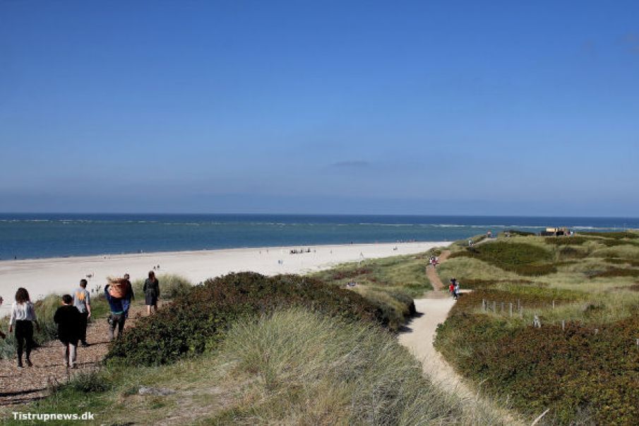 Invitation til foredrag om udstillingen Wadden Tide ved Blåvandshuk 2014..