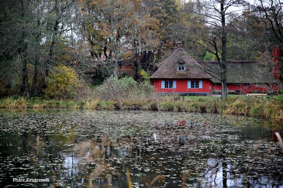 En tur gennem Assenbæks natur.