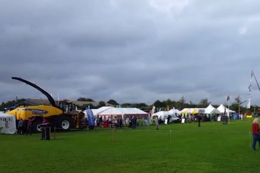 Video: Mælkefestivalen